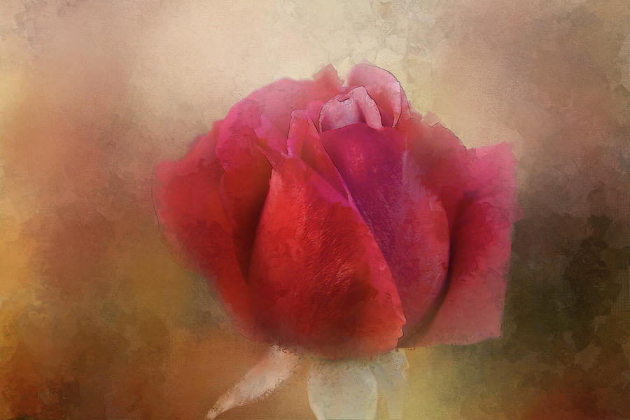 Lovely Vintage Rose Digital Art by Terry Davis