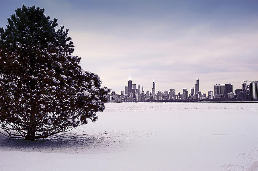 Lovely Winter Chicago Photograph by Milena Ilieva