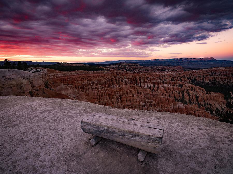 Lovers Bench Photograph by Edgars Erglis