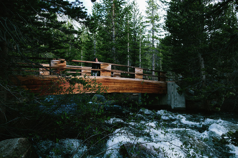 Tree Photograph - Low Angle View Of Girl Standing On Bridge Amidst Inyo National Forest by Cavan Images