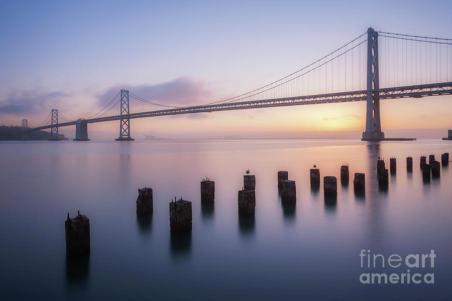 Low Angle View Of Oakland Bay Bridge Photograph by Terenceleezy