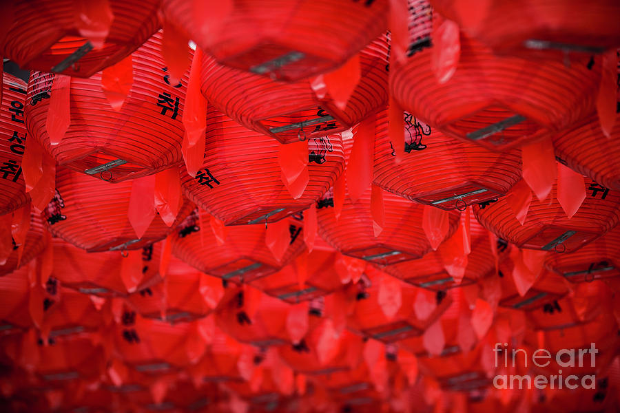 Low Angle View Of Red Lamps, Korea Photograph by Aroonz Photography