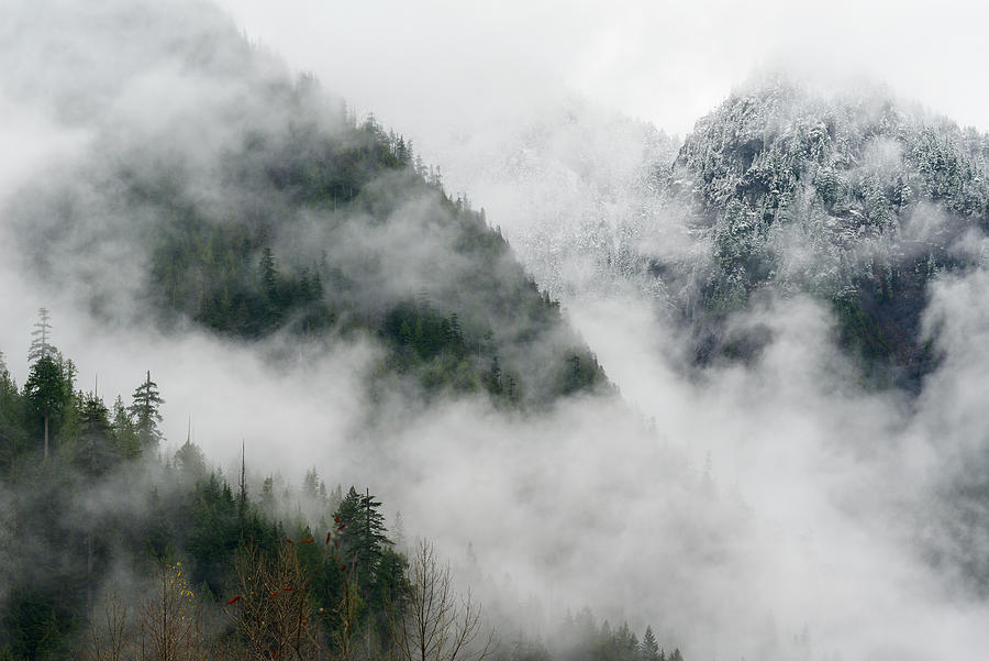 Low Clouds And Fog Rolling Through The Cascade Mountains With Snow Photograph by Cavan Images