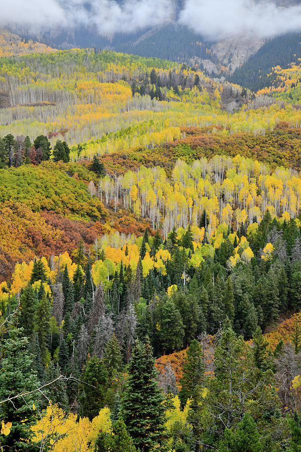 Low Clouds over Fall Colors near Owl Creek Pass Photograph by Ray Mathis