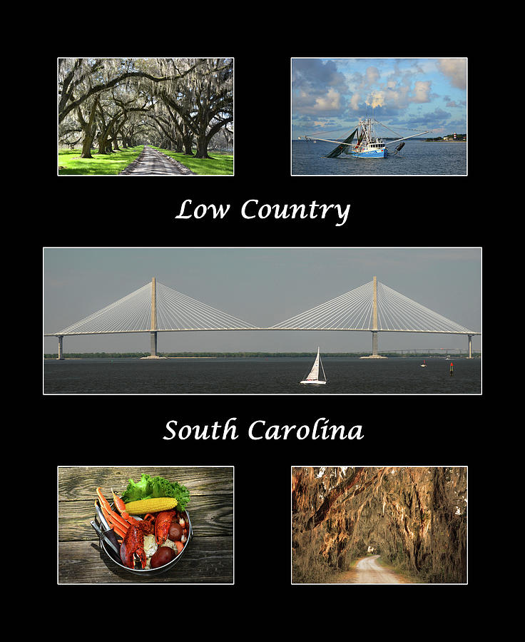 Low Country South Carolina Poster Photograph by Jerry Griffin
