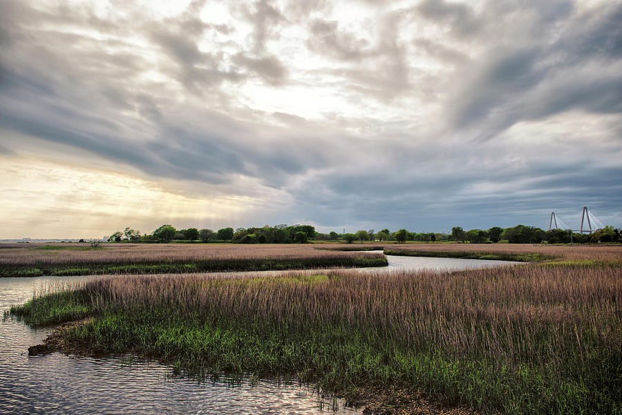 Landscape Photograph - Low Country Sunset II by Danny Head