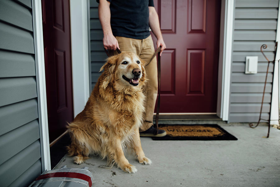 Architecture Photograph - Low Section Of Man With Golden Retriever Standing At Doorway by Cavan Images