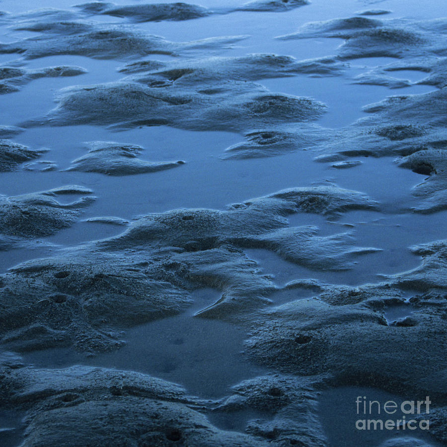 Low Tide - Organic Patterns and Textures by Charmian Vistaunet Low Tide - Organic Patterns and Textures by Charmian Vistaunet