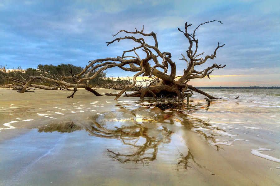 Low Tide Reflections Photograph by Debra and Dave Vanderlaan
