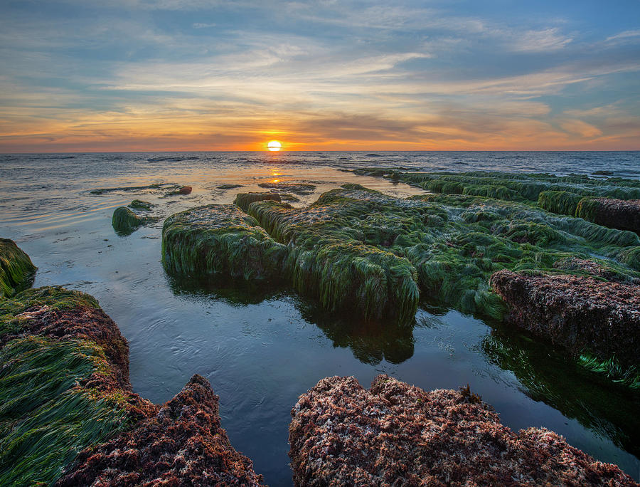Low Tide Sunset Over Intertidal Zone, La Jolla Cove, San Diego, California Photograph by Tim Fitzharris