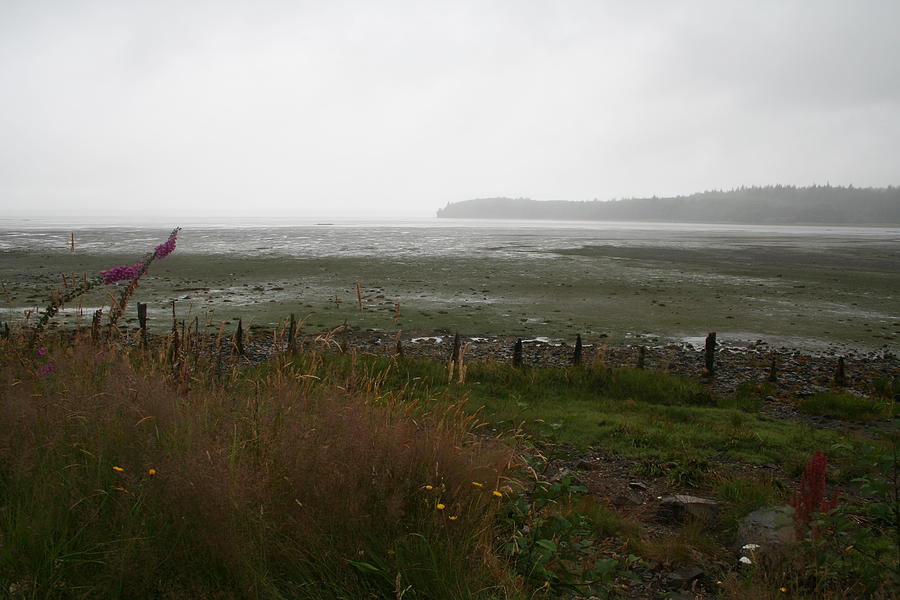 Low Tide Willapa Photograph by Dylan Punke
