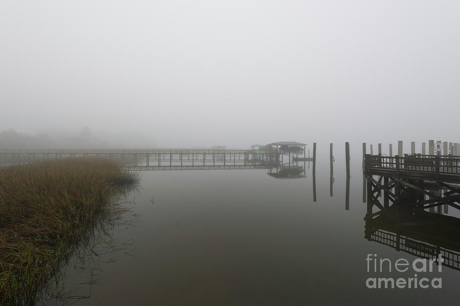 Lowcountry Island Fog Photograph by Dale Powell