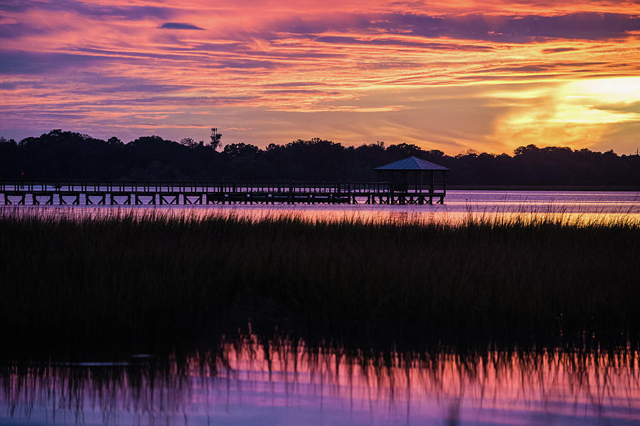 32 - Lowcountry Love Photograph by Jessica Yurinko
