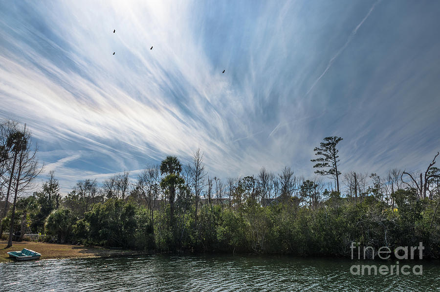Lowcountry Summer Sky Photograph