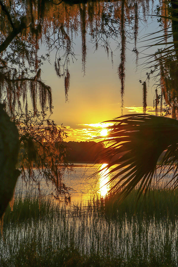 Lowcountry Sunset Photograph by Kylie Jeffords
