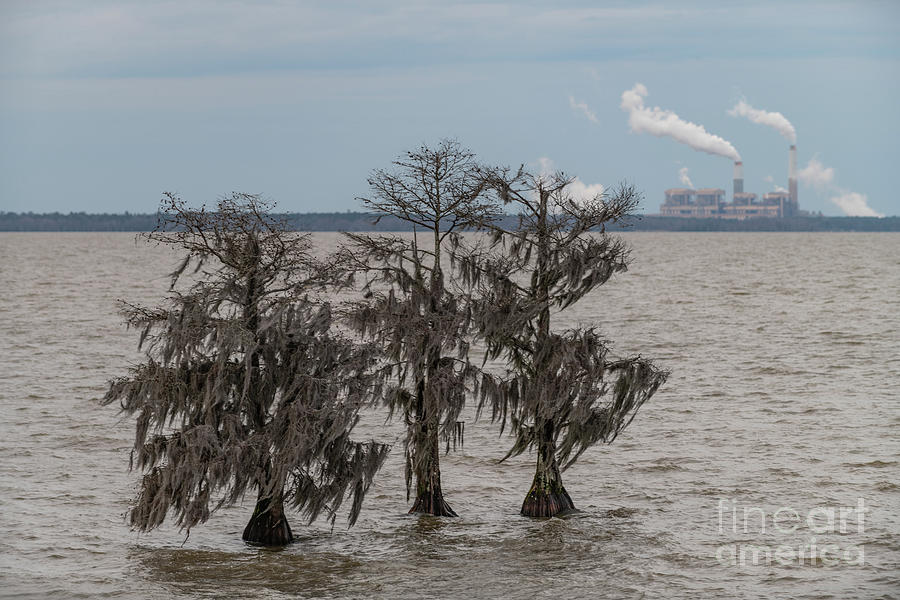 Lowcountry Winter - Lake Moultrie Photograph by Dale Powell