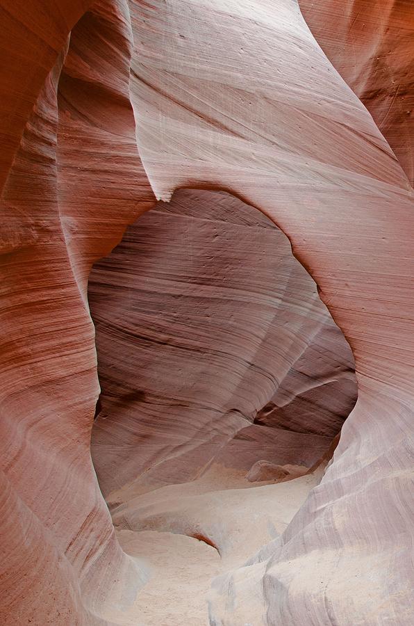 Lower Antelope Canyon Photograph by Dbushue Photography