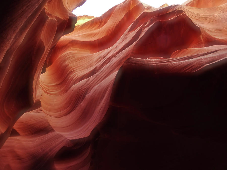 Lower Antelope Canyon - Like Rose Petals Photograph by Doris Aguirre