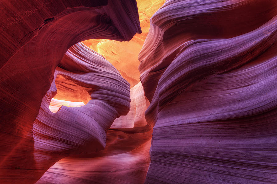Lower Antelope Canyon Photograph by Michele Falzone