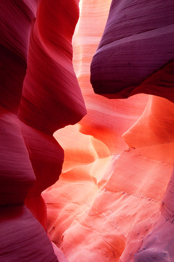 Lower Antelope Canyon Sandstone Faces Photograph by Justinreznick
