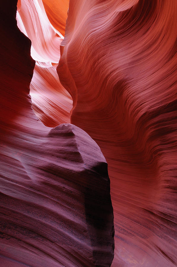 Lower Antelope Canyon Photograph by Tom Schwabel