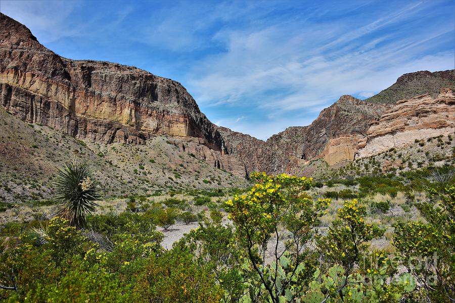 Lower Burro Mesa Photograph