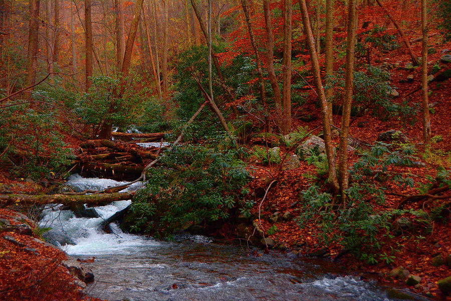Lower Dunnfield Creek in the Fall Photograph by Raymond Salani III