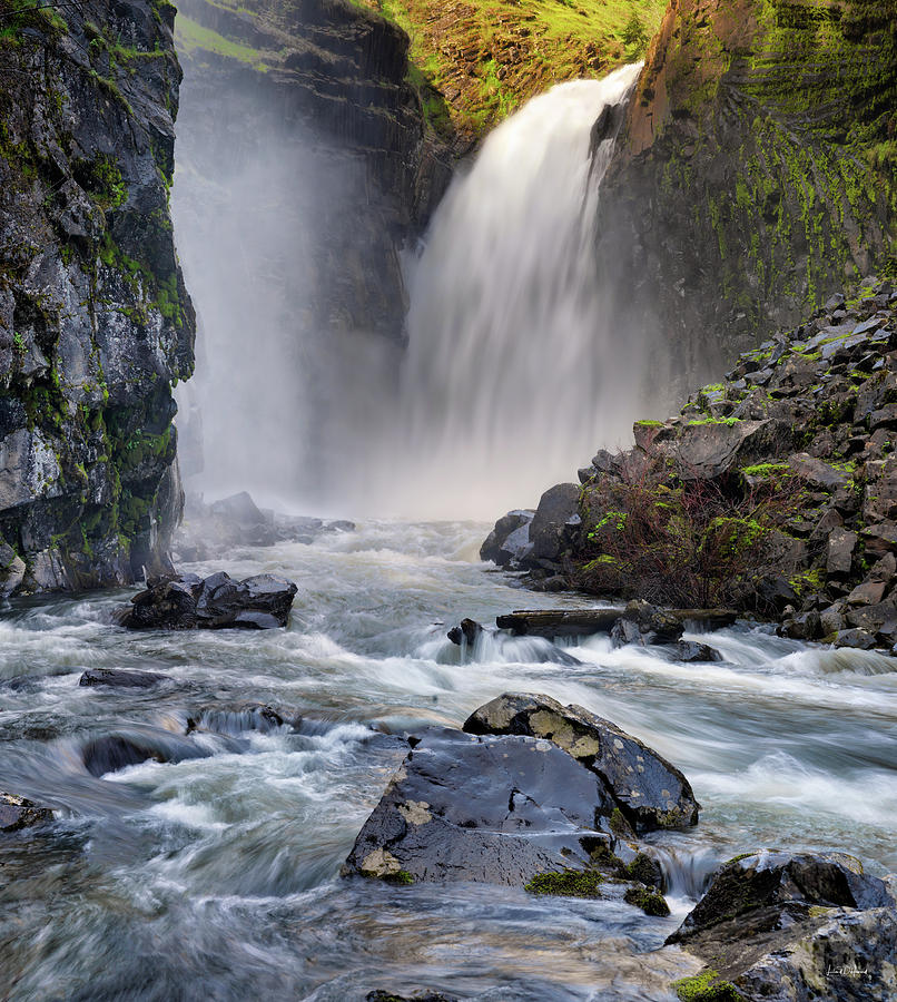 Lower Elk River Falls Photograph by Leland D Howard