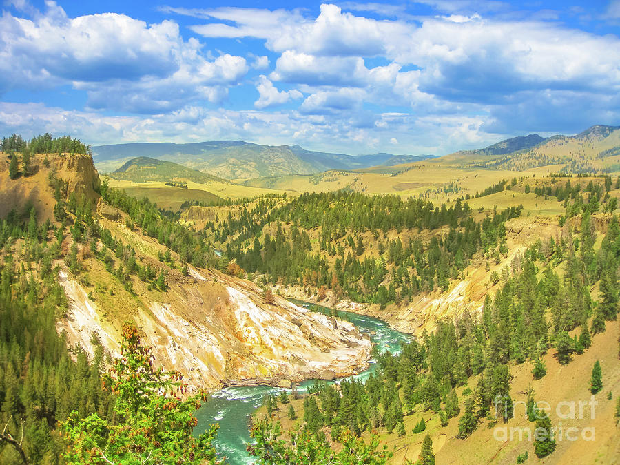 Lower Falls in Yellowstone River Photograph by Benny Marty
