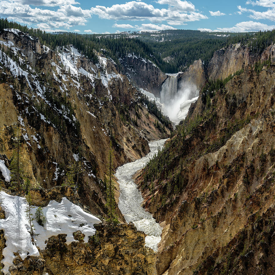 Lower Falls in Yellowstone Photograph by Scott Read
