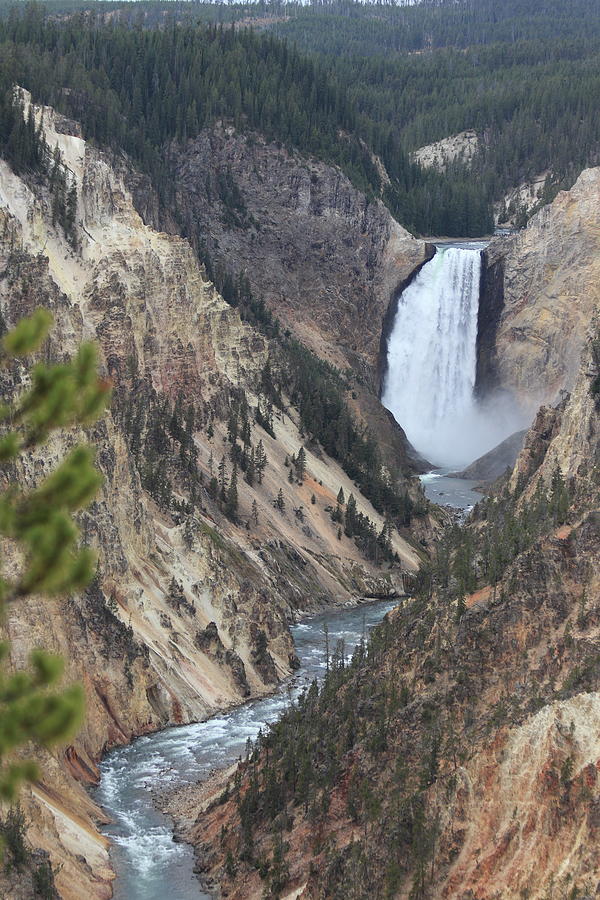 Lower Falls Of The Yellowstone River Photograph By Jr Cox