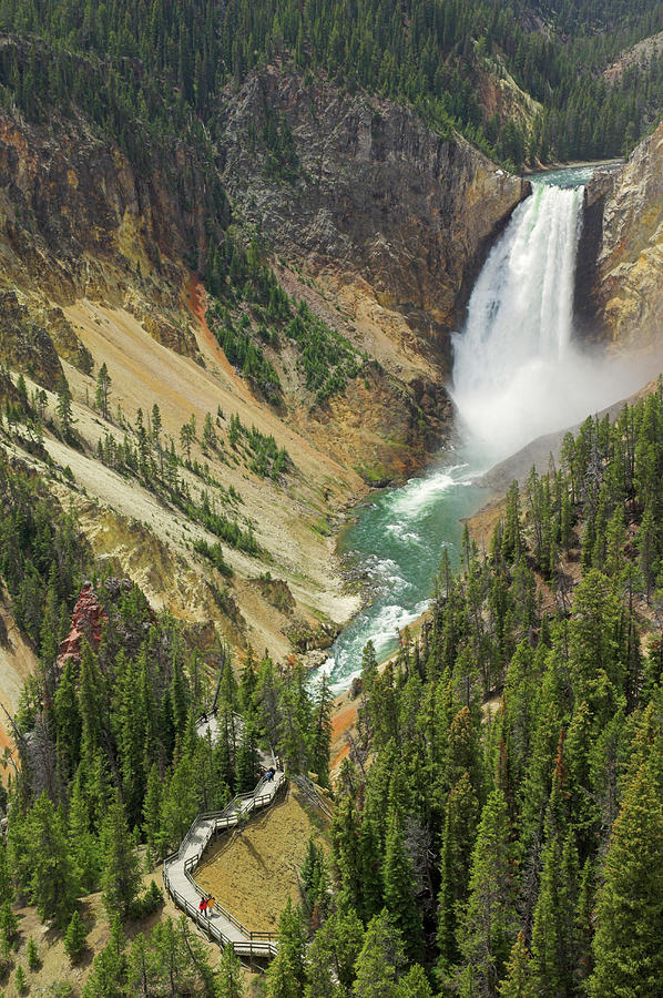 Lower Falls On The Yellowstone River Photograph by Neale Clark ...