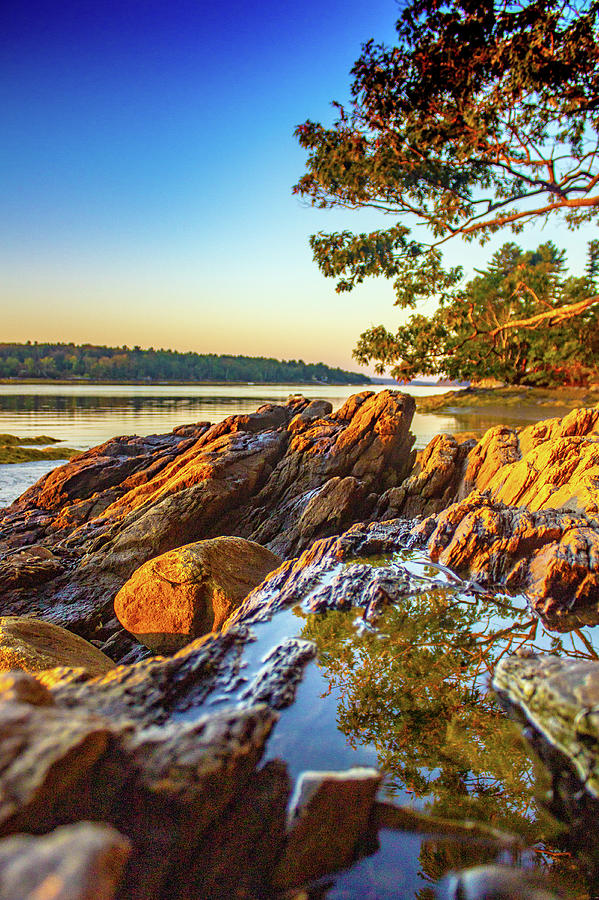 Lower Flying Point Red Rocks Reflections Photograph by Dan Smith
