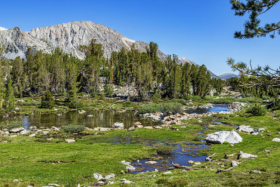Lower Gem Lakes Meadow Photograph by Kelley King