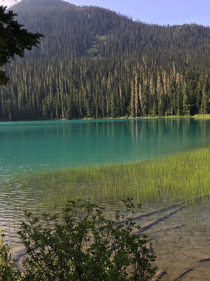 Lower Joffre Lake, British Columbia Photograph by Bryan Erdmann - Fine ...