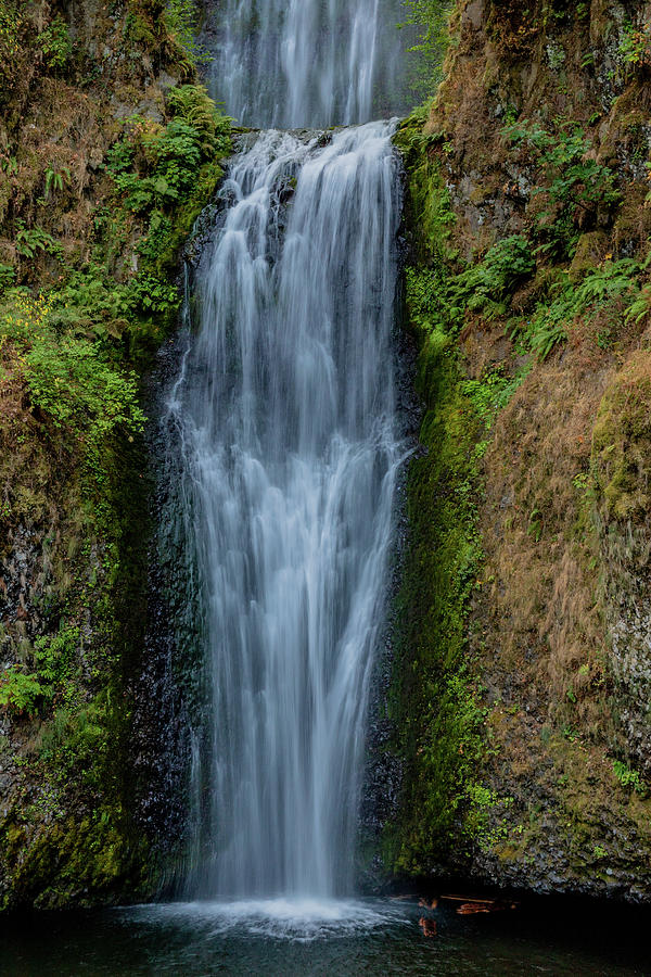 Lower Multnomah Falls Photograph by Bill Gallagher