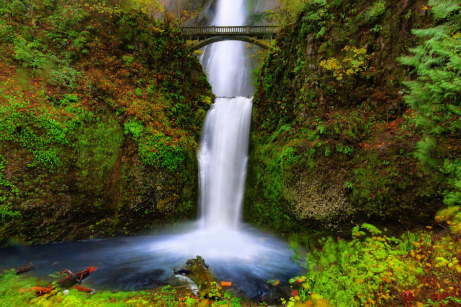 Lower Multnomah Falls Photograph