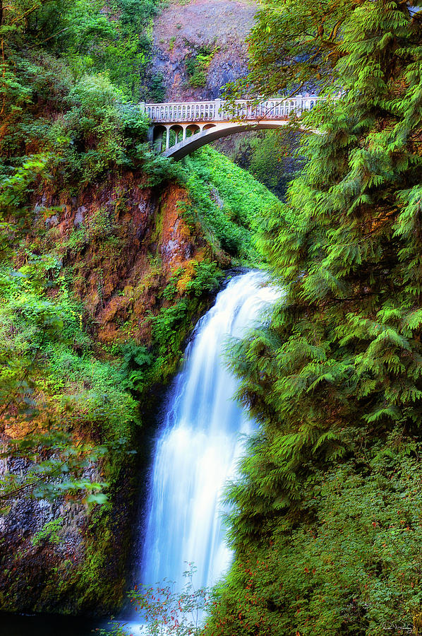 Lower Multnomah Waterfall in the Columbia River Gorge Photograph by Dee Browning