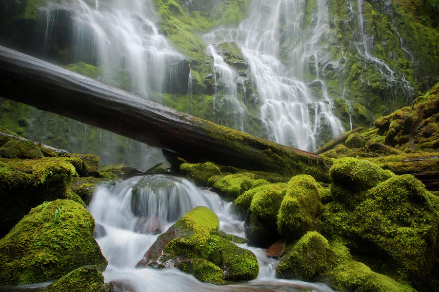 Lower Proxy Falls Photograph by Joshua Bury Photography