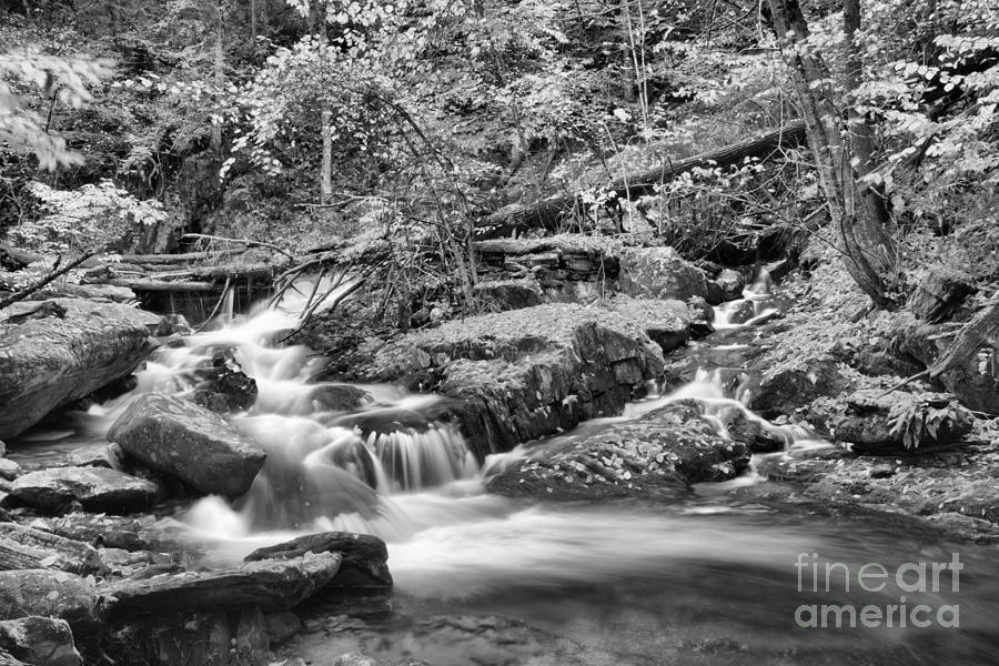 LOwer Sanderson Brook Falls Black And White Photograph by Adam Jewell