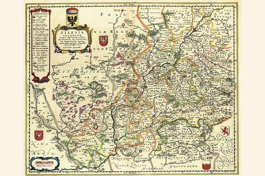 Map Painting - Lower Silesia, Poland by Willem Janszoon Blaeu (Blau)