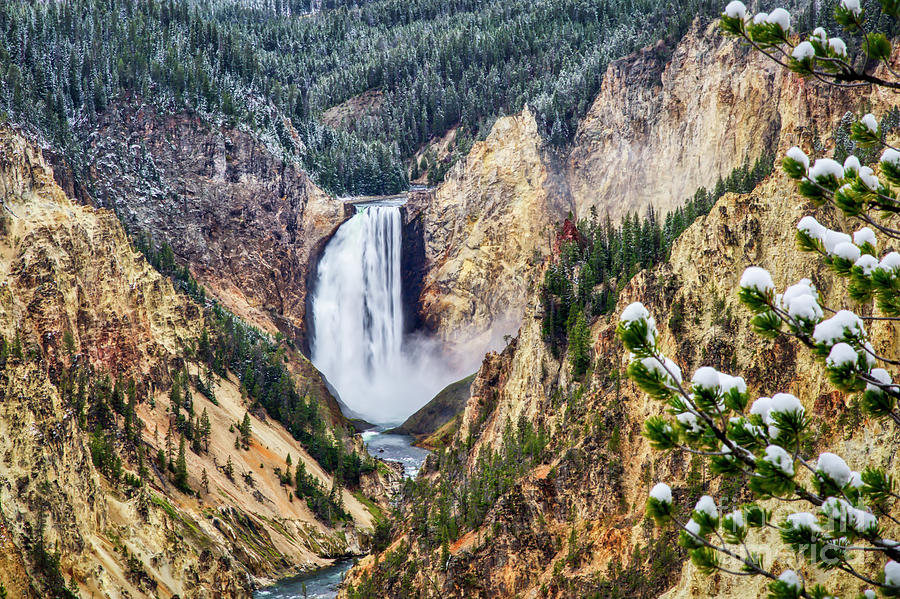 Lower Yellowstone Falls after the first snow Photograph by Bruce Block