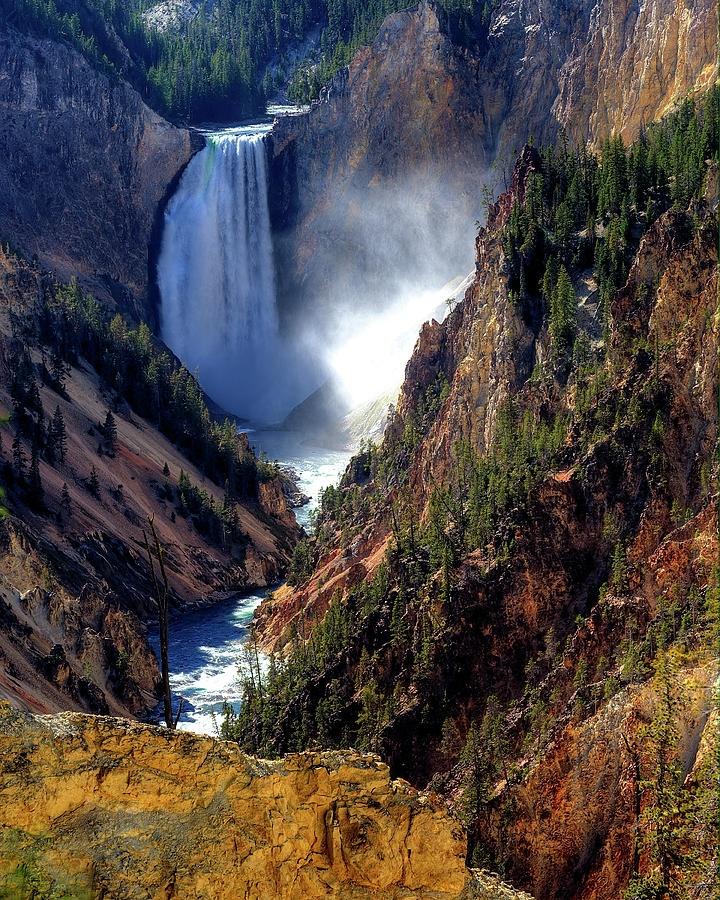 Lower Yellowstone Falls Photograph by Alan W Cole