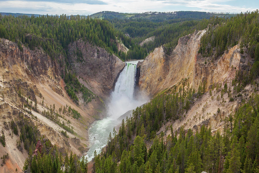 Lower Yellowstone Falls by Archi Trujillo