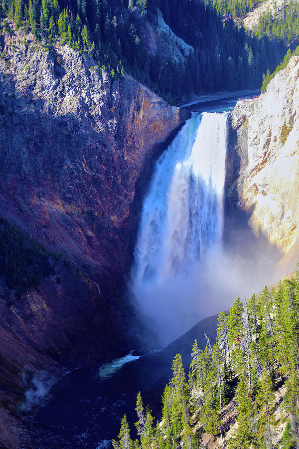 Lower Yellowstone Falls Photograph by Mitch Cat