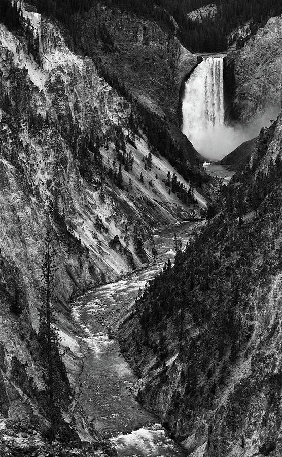 Lower Yellowstone Falls Monochrome Photograph by Max Waugh
