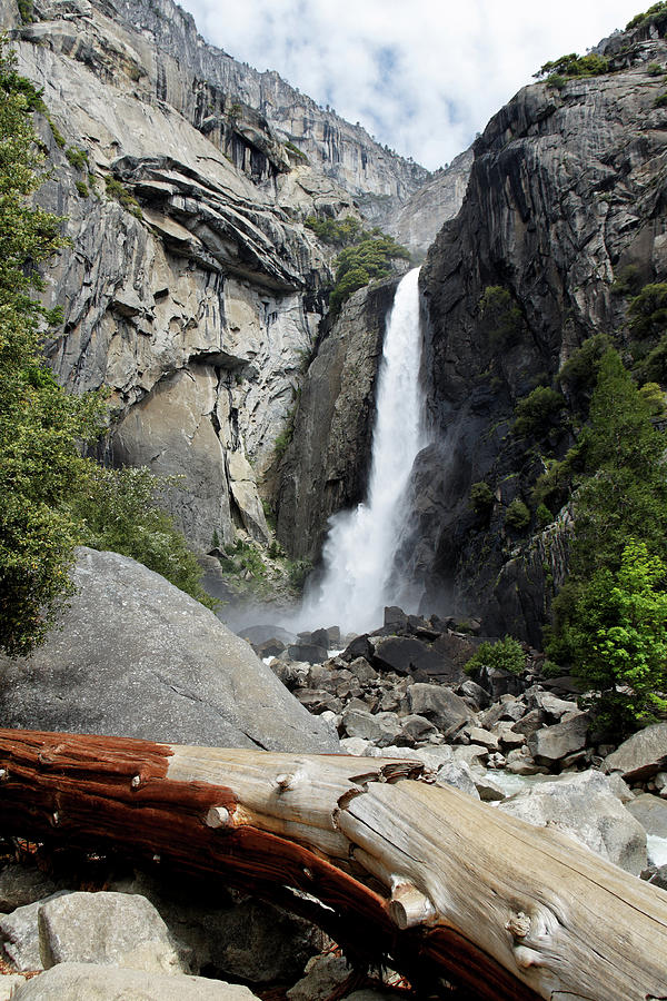 Lower Yosemite Falls Photograph by Thomas Davis