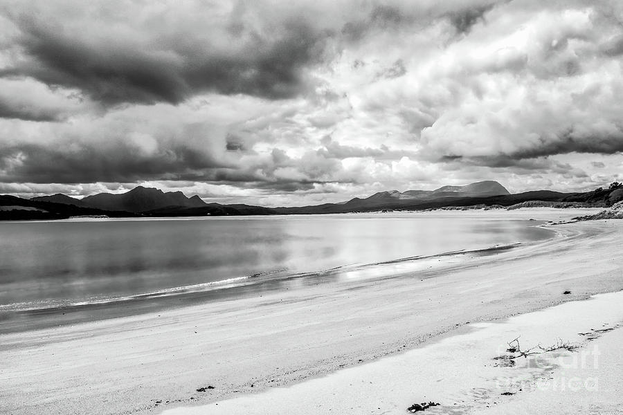 Loyal Beach Photograph by Ed The Frog Photography - Fine Art America