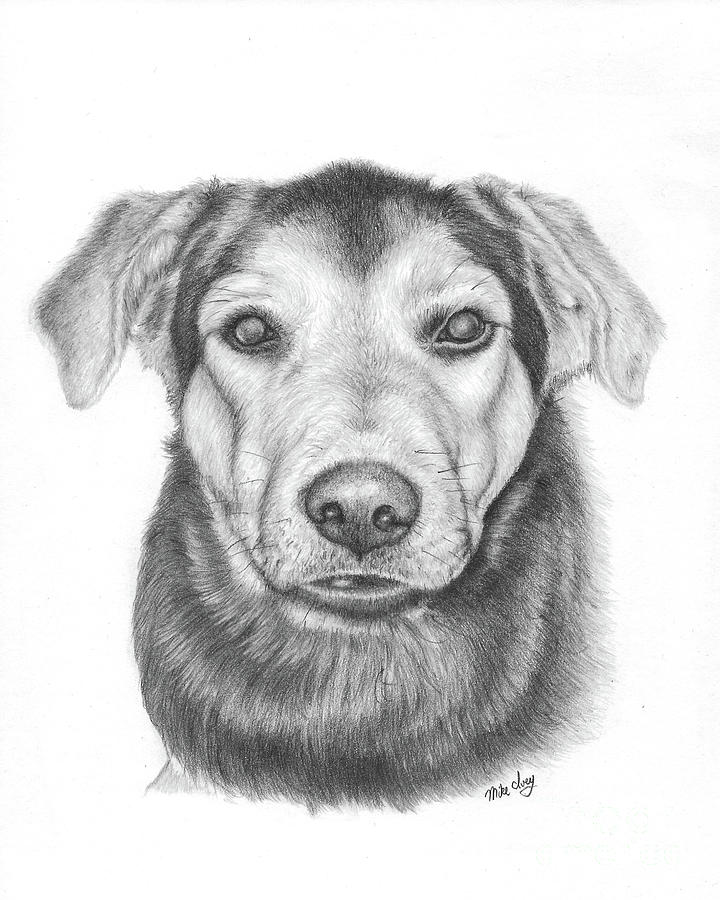 Luca by Mike Ivey Luca by Mike Ivey