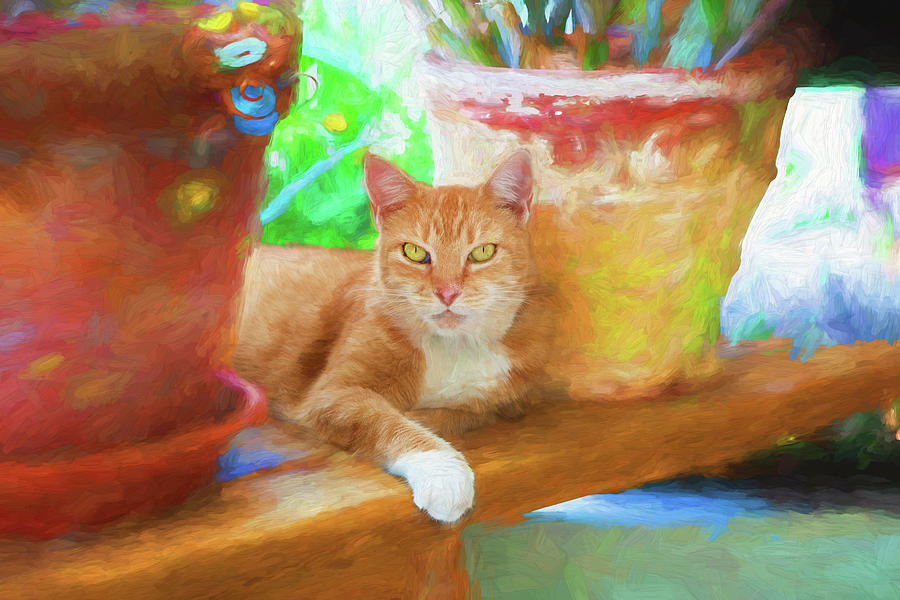 Luci Lu, the Ginger Cat 101 Photograph by Rich Franco